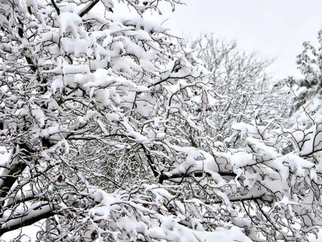 TEMPORARILY CLOSED TODAY (THURSDAY 12-17)