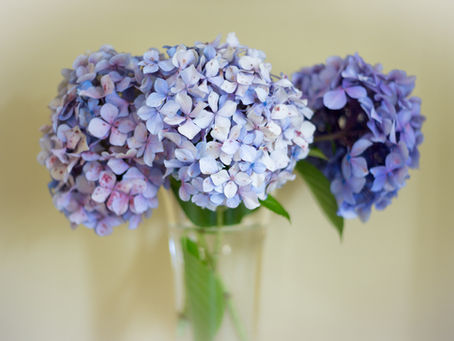 Here's where you can pick up last minute Mothers Day gifts!