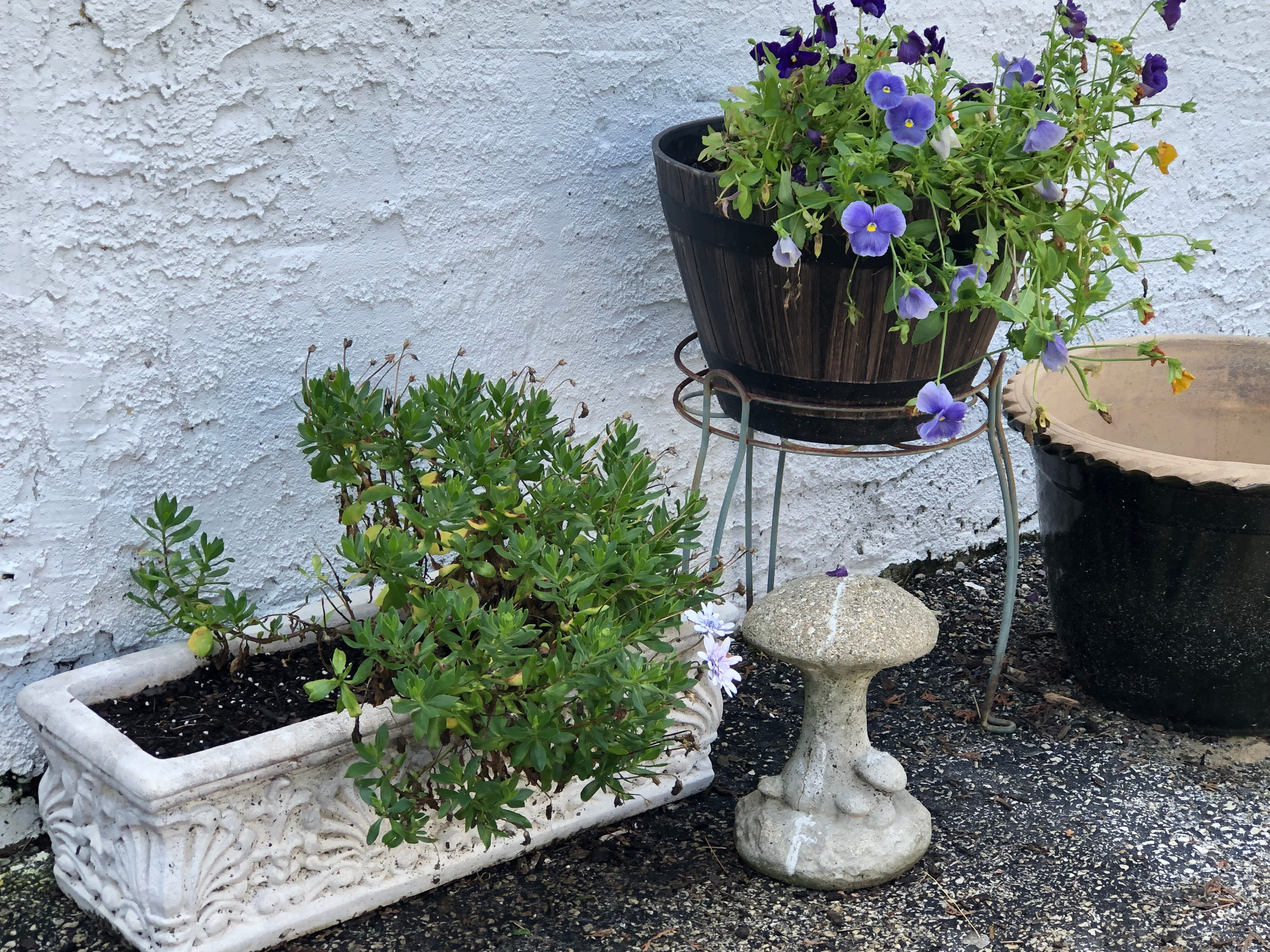 Stop by 126 South Franklin Street, West Chester, PA 19382 Friday from 11:00 - 4:00