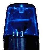 Flash Sale Starts Now!!!