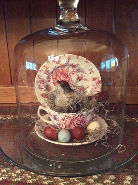Teacup birds nest cloche