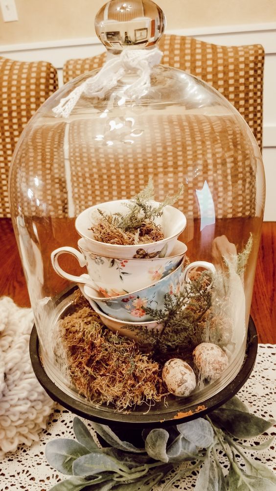 Vintage teacup terrarium with glass dome