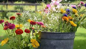 Fresh cut flowers in a metal tub