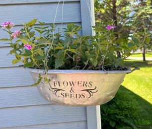 Planter made from metal bowl