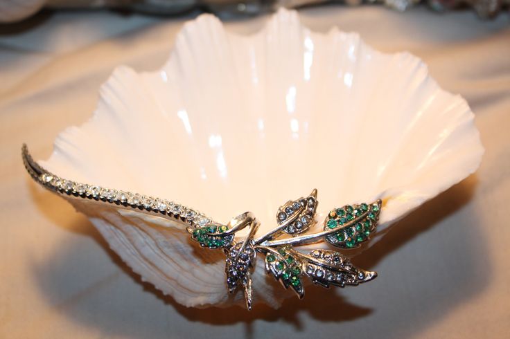 Vintage pin glued to a shell