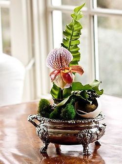 Silver holloware planter